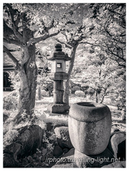Stone Lantern and Basin in Kiyosumi Garden